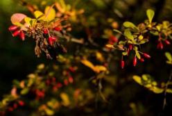 Прогноз погоды на 10 сентября: пятница будет радовать теплом и солнцем 