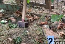 В Одесской области женщина убила мать, ударив кувалдой по голове (видео)
