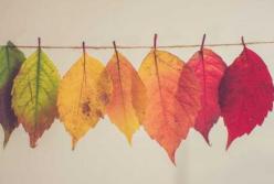 Прогноз погоды на 26 октября: в Украине солнечно, но прохладно