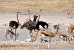 Ученые рассказали о древних обитателях пещеры «Таврида»