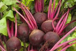 Медики дали советы по «оздоровлению» крови