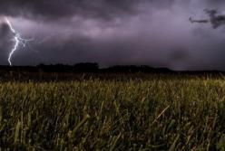 Прогноз погоды на 29 мая: дожди с грозами и градом