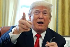 "Тупой как камень": Трамп продолжает обзывать Тиллерсона
