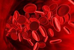 Медики назвали продукты, повышающие уровень гемоглобина в крови
