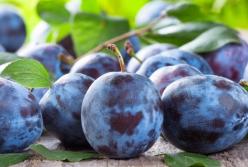 Врачи назвали фрукт, который поможет похудеть даже при употреблении раз в неделю