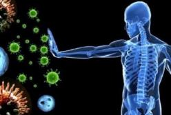 Врачи назвали продукты, которые помогут укрепить иммунитет