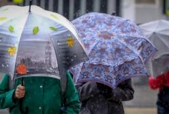 Прогноз погоды на 25 февраля: на большинстве территории дождливо