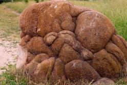 Стала известна причина появления «живых» камней в Румынии