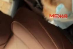 Розкішне життя дружини прокурора ОГП: BMW за $125 тисяч та коштовності на $60 тисяч