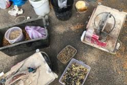 В Ровенской области во время обысков обнаружили янтаря на 2 млн грн (фото)