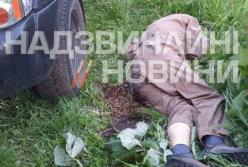 Княжичи-2: что скрывает Антон Геращенко о массовом расстреле на Житомирщине (фото)