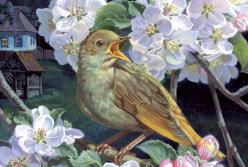 Украинские марки признаны лучшими в Европе