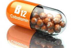 Назван важный витамин, которого не может дать растительная пища