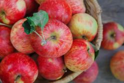 С какого продукта диетологи рекомендуют начинать день