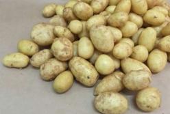 Диетологи рассказали о вреде картофеля для здоровья