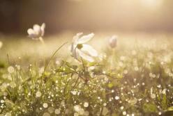 Прогноз погоды на 2 июня: в Карпатах возможен снег