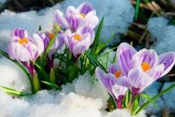 Прогноз погоды на 8 апреля: в Украине немного потеплеет