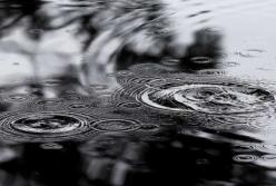 Прогноз погоды на 2 сентября: шквальный ветер и дожди