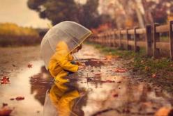 От -3 до +19 градусов: синоптики дали интересный прогноз на начало недели в Украине