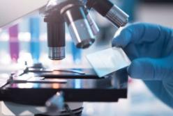 Дома у каждого: названы бытовые предметы, вызывающие рак