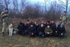 Житель Закарпатья пытался переправить через границу 12 вьетнамцев, выдавая их за диких животных (фото, видео)