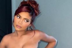 Кайли Дженнер поделилась пикантным образом (фото)