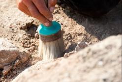 Археологи обнаружили древнейший флот (видео)