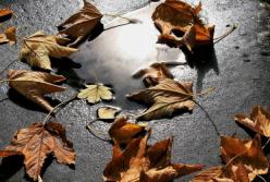 Прогноз погоды на 23 ноября: будут неприятные сюрпризы (карта)