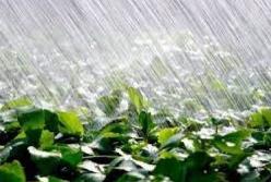 Прогноз погоды на 21 июля: в  Украине грозовые дожди