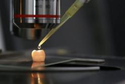 Прощайте стоматологи: впервые удалось вырастить зубную эмаль