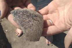 В Одесской области обнаружен древний "торговый центр"