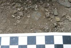 Археологи обнаружили в Африке самую старую социальную сеть в мире