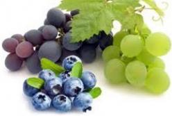 Названы самые полезные ягоды для здоровья легких