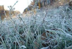 Прогноз погоды на 19 ноября: идет резкое похолодание (карта)