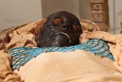 Археологи приоткрыли тайну мумии Такабути