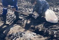 На Сумщине произошел разлив нефти на поле