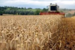 Украина сократила экспорт зерна