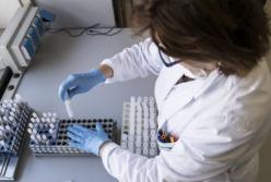 В лабораториях рассказали, как устроен рынок поддельных ПЦР-тестов