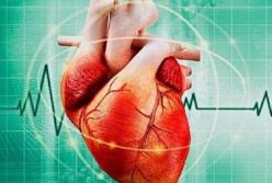 Генетики научились предсказывать смертельную болезнь сердца