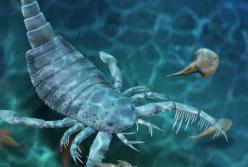 Ученые нашли окаменелости хищника с колючими конечностями, которому 400 млн лет