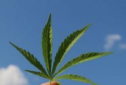 Обнаружено еще одно полезное свойство марихуаны