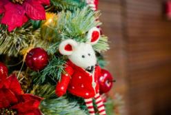 Когда нужно наряжать елку на Новый год 2020