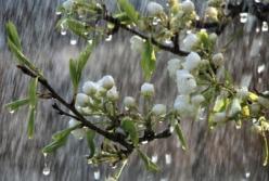 Прогноз погоды на 15 апреля: дождь и холод разделит Украину пополам