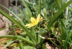 Ученые восстановили «меню» человека возрастом 170 тысяч лет