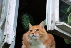 Прогноз погоды на 3 января: в Украине сухо и солнечно