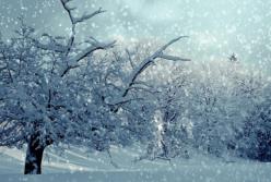 До 20 сантиметров снега: в Украине резко ухудшится погода