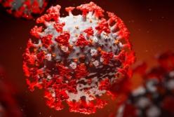 Ученые выяснили, как победить коронавирус за шесть недель