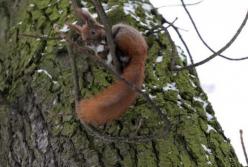 Прогноз погоды на 8 декабря: дождь, снег и гололедица на дорогах