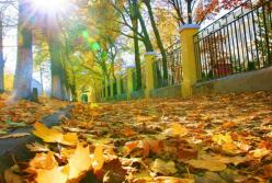 Прогноз погоды на 8 октября: возвращаемся к холодным реалиям (карта)