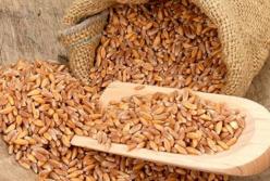 Медики назвали кашу, которая отстрочит старость